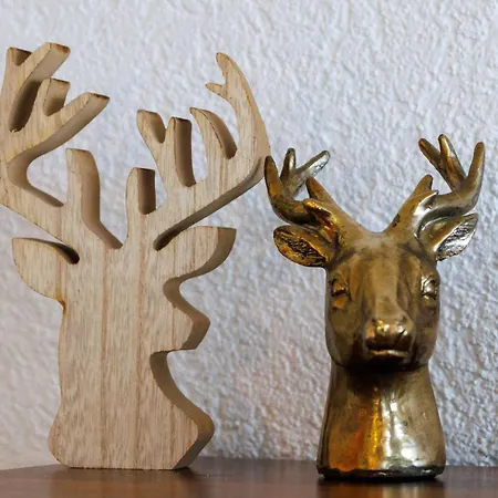 Olympic Fe6 By Interhome Apartmán *